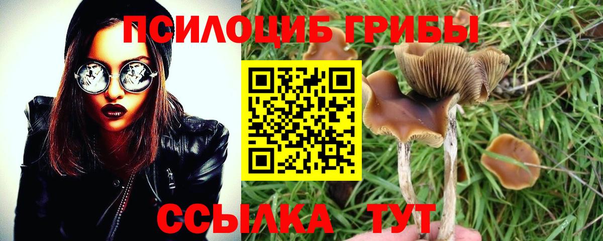Псилоцибиновые грибы ЛСД Рязань