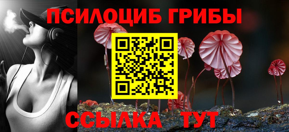 Псилоцибиновые грибы MAGIC MUSHROOMS  Вход с VPN  Псилоцибиновые грибы прущие грибы  Рязань 
