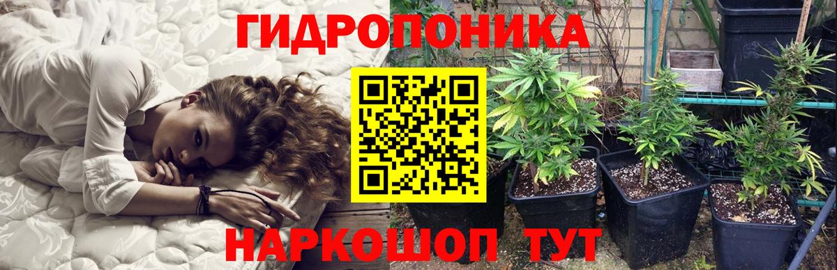 Марихуана сатива Рязань